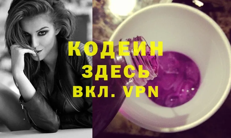 где продают наркотики  Змеиногорск  МЕГА как войти  Codein Purple Drank 